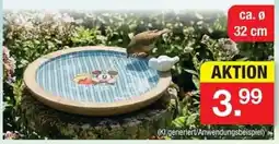 Zimmermann Mickey Maus Vogelbad Angebot