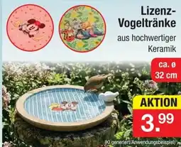 Zimmermann Lizenz-Vogeltränke Angebot