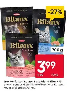 Rusta Katzen Best Friend Bilanx Angebot