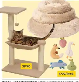Rusta Katzenartikel Angebot