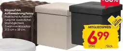 Rusta Sitzpouf mit Aufbewahrung Penny Angebot