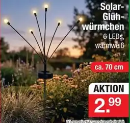 Zimmermann Solar- Glüh- würmchen Angebot