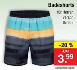 Zimmermann Badeshorts für Herren Angebot