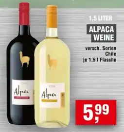 Handelshof Alpaca Weine Angebot