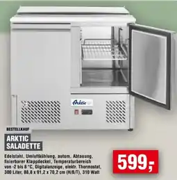 Handelshof ARKTIC SALADETTE Angebot