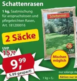 Sonderpreis Baumarkt Schattenrasen Angebot