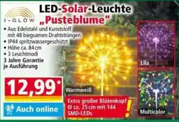 Norma I-GLOW LED-Solar-Leuchte "Pusteblume" Angebot