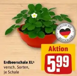 REWE Erdbeerschale XL Angebot