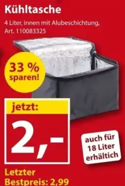 Sonderpreis Baumarkt Kühltasche Angebot