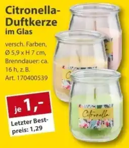 Sonderpreis Baumarkt Citronella-Duftkerze im Glas Angebot