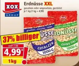 Norma Erdnüsse XXL Angebot