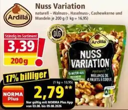 Norma Ardilla Nuss Variation Angebot