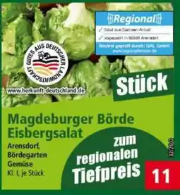 Norma Magdeburger Börde Eisbergsalat Angebot
