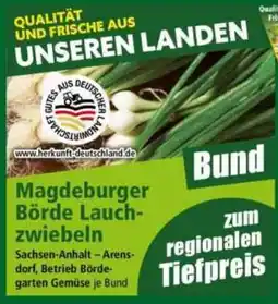 Norma Magdeburger Börde Lauchzwiebeln Angebot