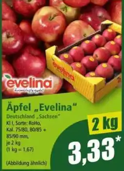 Norma Äpfel "Evelina" Angebot