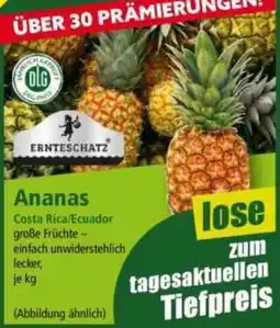 Norma Ananas Angebot