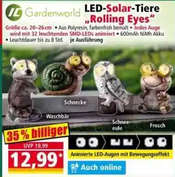 Norma LED-Solar-Tiere "Rolling Eyes" Angebot