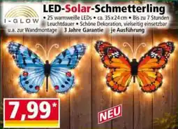 Norma I-GLOW LED-Solar-Schmetterling Angebot