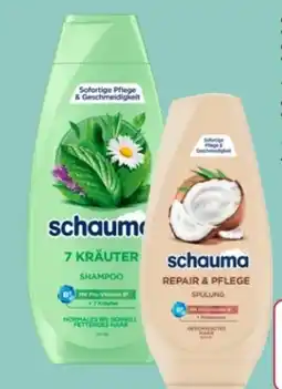 Rossmann Schwarzkopf Schauma Shampoo Angebot