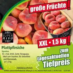 Norma Plattpfirsiche SUPER nivo Angebot
