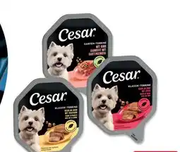 Das Futterhaus Cesar Nassfutter Angebot