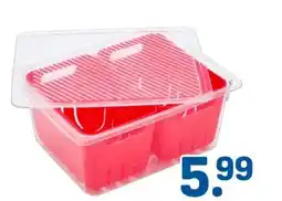 Rossmann Rossmann Ideenwelt Kühlschrankbox Angebot