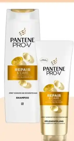 Rossmann Pantene Pro-V Shampoo Angebot