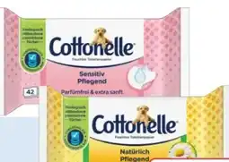 Rossmann Cottonelle Feuchtes Toilettenpapier Angebot