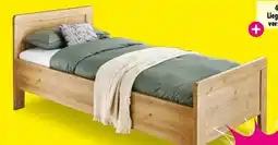 Möbel Boss Futonbett Bern Angebot