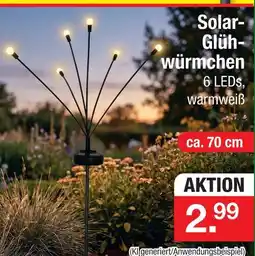 Zimmermann Solar-glühwürmchen Angebot