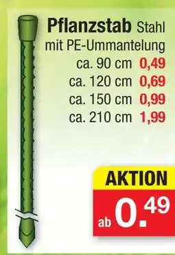 Zimmermann Pflanzstab ca. 90 cm Angebot