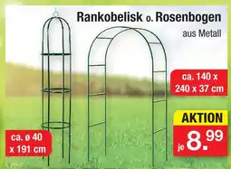 Zimmermann Rankobelisk Angebot