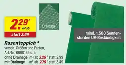 toom Baumarkt Rasenteppich ohne drainage Angebot