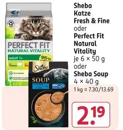 Rossmann Perfect fit natural vitality Angebot