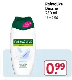 Rossmann Palmolive dusche Angebot