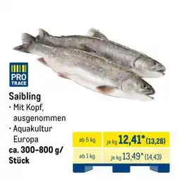 METRO Saibling Angebot