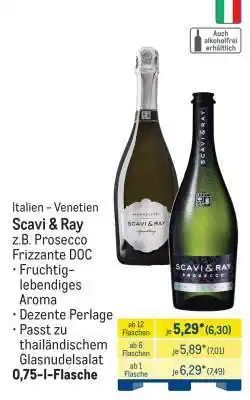 METRO Scavi & Ray Angebot