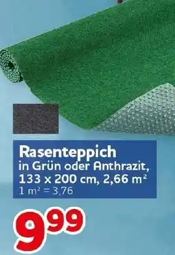 CENTERSHOP Rasenteppich Angebot