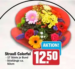 HIT Strauß Colorful Angebot