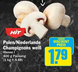 HIT HIT Polen/Niederlande Champignons weiß Angebot
