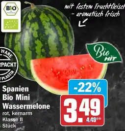 HIT Spanien Bio Mini Wassermelone Angebot