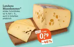 tegut Landana Maasdammer Angebot