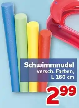 CENTERSHOP Schwimmnudel Angebot