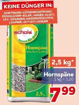 CENTERSHOP schola Hornspäne Angebot
