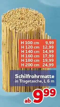 CENTERSHOP Schilfrohrmatte Angebot