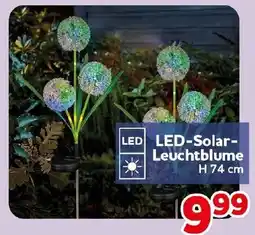 CENTERSHOP LED-Solar-Leuchtblume Angebot