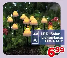 CENTERSHOP LED-Solar-Lichterkette Pilze Angebot