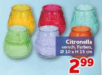 CENTERSHOP Citronella Angebot