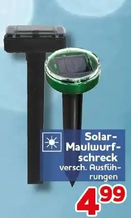 CENTERSHOP Solar-Maulwurfschreck Angebot