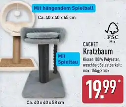 Aldi Nord CACHET Kratzbaum Angebot